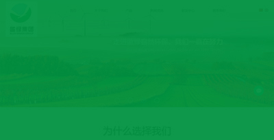 藍(lán)綠集團(tuán)